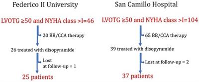 Long-term follow-up study on obstructive hypertrophic cardiomyopathy patients treated with disopyramide: evidences of a notable trend in symptom control within a real-world clinical setting